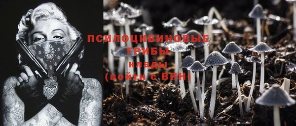 каннабис Яровое